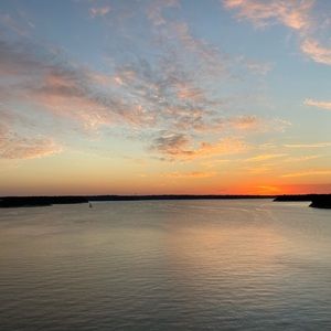 Meet your Posher, Lilly